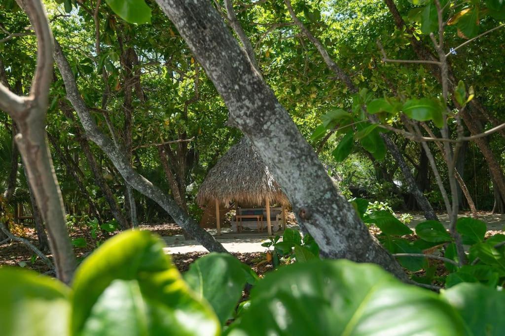 Villas Almendros Playa Santa Teresa  Екстериор снимка